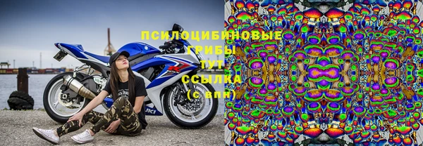 соль ск Богородицк