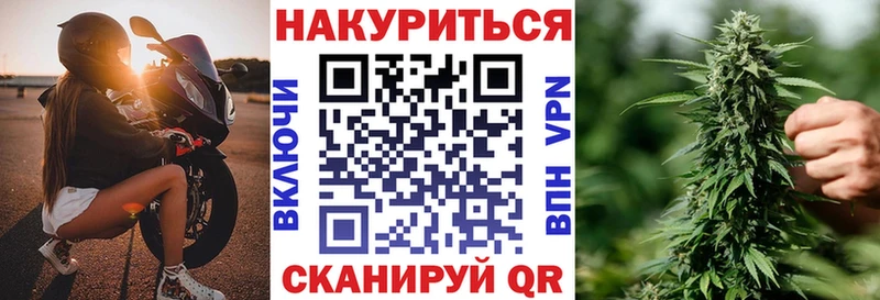 Конопля гибрид Добрянка